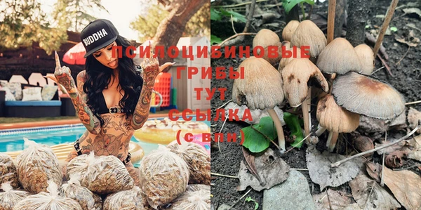 мескалин Балахна